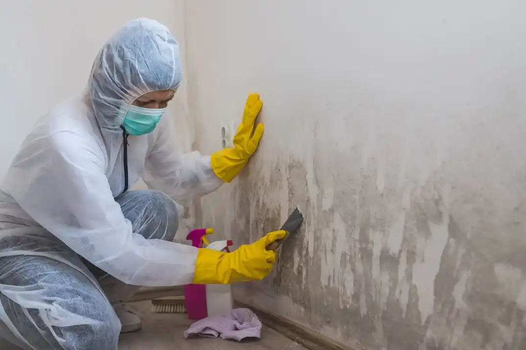 water damage restoration service Highland Acres